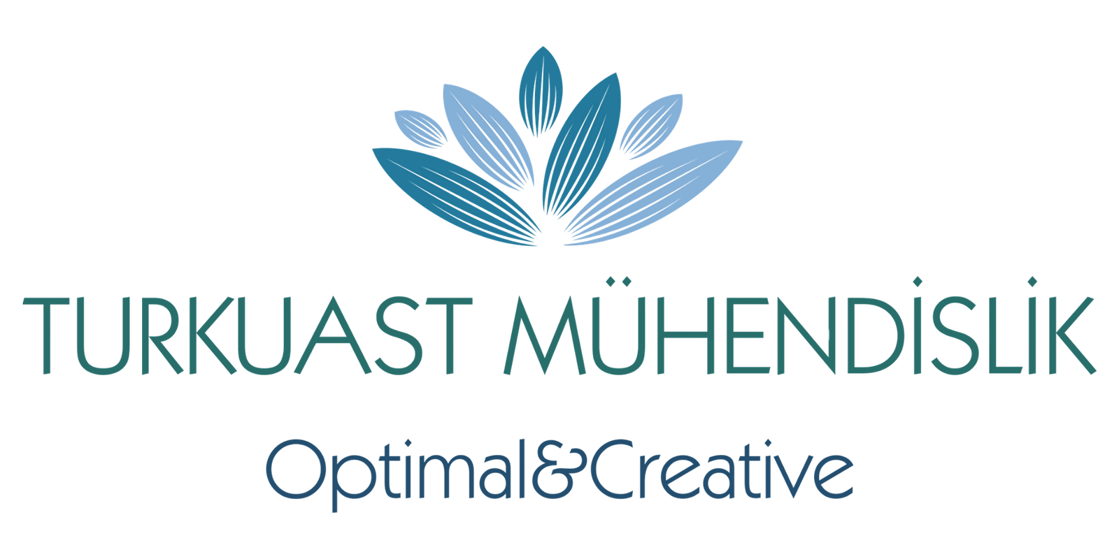 Turkuast Logo